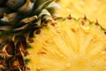 Close up of pineapple fruit slice