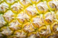 Close up of pineapple fruit texture pineapple skin background Royalty Free Stock Photo