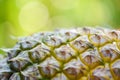 Close up of pineapple fruit texture pineapple skin and nature green blur background Royalty Free Stock Photo