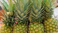 close up of a pineapple with a textured skin Royalty Free Stock Photo