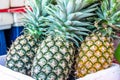 Close up pineapple at the market for sell