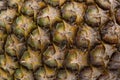 Close up, pineapple peel, background, fruit Royalty Free Stock Photo