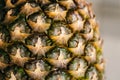 Close-up of pineapple peel background, macro shot.