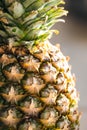 Close-up of pineapple peel background, macro shot.