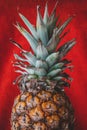 A close up of a pineapple in a red background Royalty Free Stock Photo