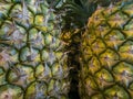 Close-up of pineapple skin structures Royalty Free Stock Photo