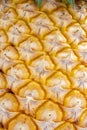 Close up of pineapple skin texture background Royalty Free Stock Photo