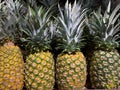 Close-Up Of Pineapples For Sale