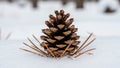 Close-up of a Pinecone Resting on Fresh Snow in a Winter Forest Setting Royalty Free Stock Photo