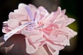 Close-up pink artificial rose with wedding rings, selective focus Royalty Free Stock Photo