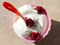 Bowl of frozen yogurt with raspberries