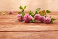 Close-up of pink clover flowers on wooden table. Medicinal plant clover. St. Patrick`s day background Royalty Free Stock Photo