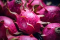 Close up of pink exotic dragonfruit fruit