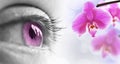 Close up of a pink eye and flower Royalty Free Stock Photo