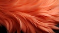 A close up of a pink feather