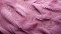 A close up of pink feathers background