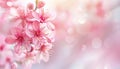 A close up of a pink flower with a blurry background by AI generated image Royalty Free Stock Photo