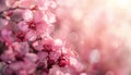 A close up of a pink flower with a blurry background by AI generated image Royalty Free Stock Photo