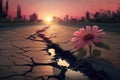 Close up, Pink flower growing on crack street sunset background Generative AI Royalty Free Stock Photo