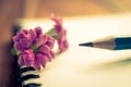 close up pink flower , pencil and notebook on wood table. Royalty Free Stock Photo