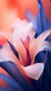 a close up of a pink flower with purple petals