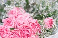 Close up Pink flowers are in bouquet arranged Royalty Free Stock Photo