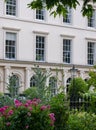 Close up of pink flowers with medicinal properties in the garden at the Royal College of Physicians, London UK Royalty Free Stock Photo