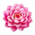 close-up of a pink lotus, gracefully isolated against a pure white background