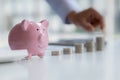 Close-up of pink piggy bank for saving money, investment savings guide, money growth, stock investment. The idea of investing