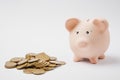 Close up of pink piggy money bank, pile of golden coins on white wall background. Money accumulation