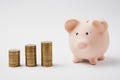 Close up of pink piggy money bank, stacks of golden coins isolated on white wall background. Money accumulation Royalty Free Stock Photo