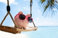 Pink Piggybank With Sunglasses On Wooden Swing