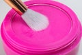 Close-up of pink powder in a box for application to the hair with a brush on a white background Royalty Free Stock Photo