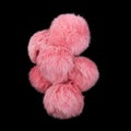 Close up of pink rabbit fur pompoms isolated on black background Royalty Free Stock Photo