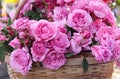 Pink rose flowers blooming in bamboo wood basket on background Royalty Free Stock Photo