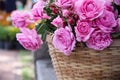 Close up pink rose flowers blooming in bamboo wood basket on background Royalty Free Stock Photo