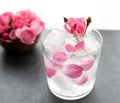 Close up pink rose in a glass of water and ice cubes, soft-focus pink pastel colors for the background and copy space Royalty Free Stock Photo