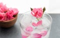 Close up pink rose in a glass of water and ice cubes, soft-focus pink pastel colors for the background and copy space Royalty Free Stock Photo