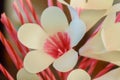 Close up pink Sandalwood flowers or funeral artificial flowers or wood cremation flower in funeral