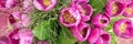 Close up of a pink tulips bunch seen from above Royalty Free Stock Photo