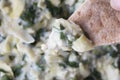 Close Up Pita with Spinach Artichoke Dip Royalty Free Stock Photo