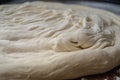 close-up of pizza dough with visible strands, ready to be topped
