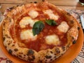 Close up of Pizza Margherita with Basil Fior di Latte and Tomato