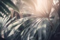 a close up of a plant with a blurry image of leaves in the background and the sun shining through the leaves of the plant