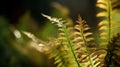 a close up of a plant with lots of green leaves on the top of it and a blurry background of grass in the background