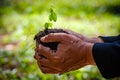 Close up plant seedling in hand. Care of environment.