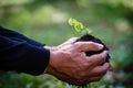 Close up plant seedling in hand. Care of environment.