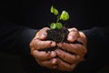 Close up plant seedling in hand. Care of environment.