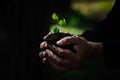 Close up plant seedling in hand. Care of environment.