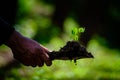 Close up plant seedling in hand. Care of environment.